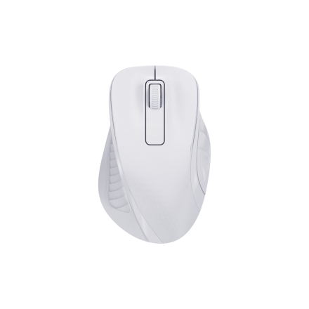 Arvutihiir juhtmevaba vaikne ergonoomiline M556 valge